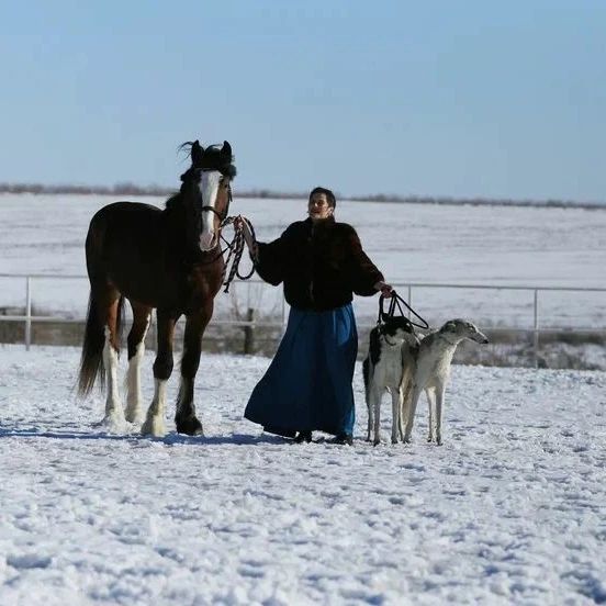 Фотосессия с лошадьми КСК 